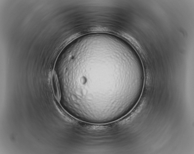 X0000113260849200909241521