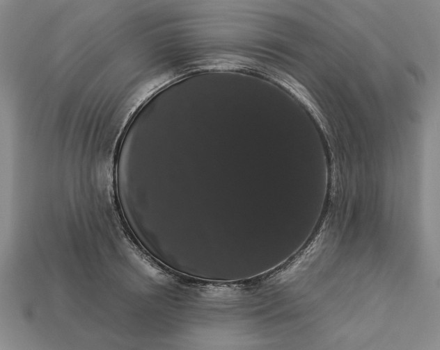 X0000113260850200909241521