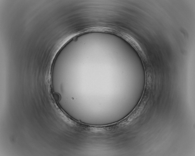 X0000113260852200909241521