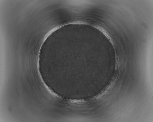 X0000113260853200909241521