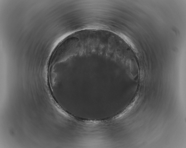 X0000113260854200909241521