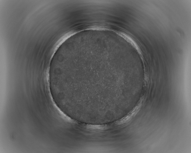 X0000113260855200909241521