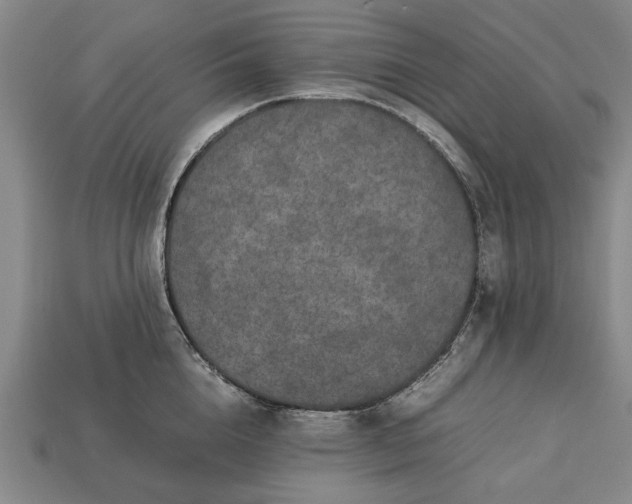 X0000113260856200909241521