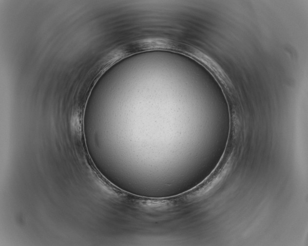 X0000113260857200909241521