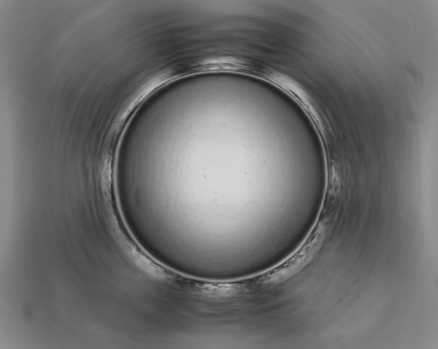 X0000113260859200909241521