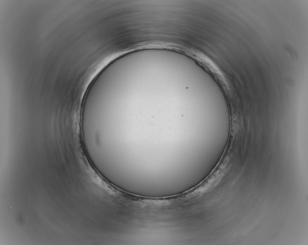 X0000113260860200909241521