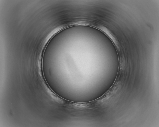 X0000113260861200909241521