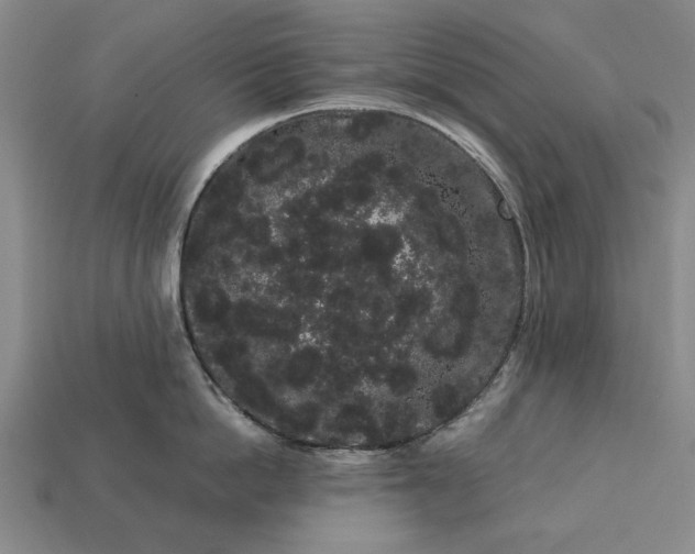 X0000113260862200909241521