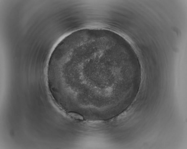 X0000113260864200909241521