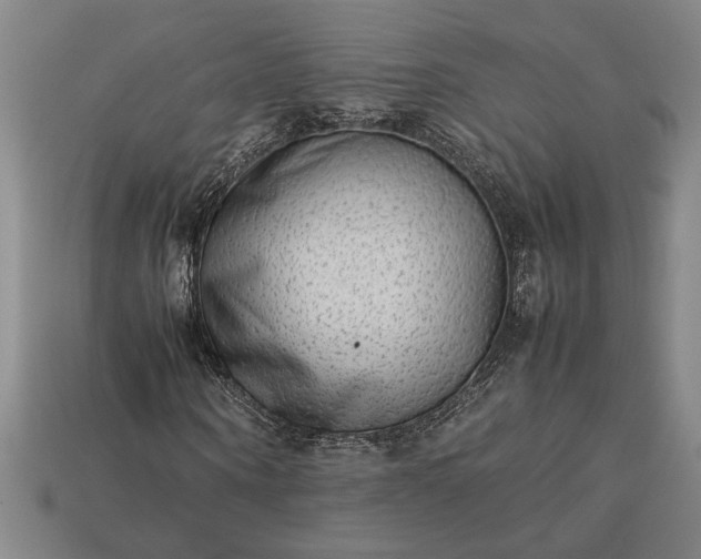 X0000113260866200909241520