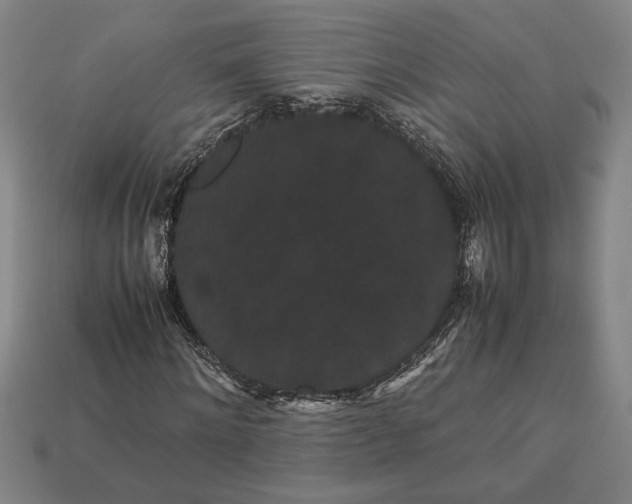 X0000113260868200909241520