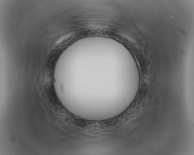 X0000113260869200909241520