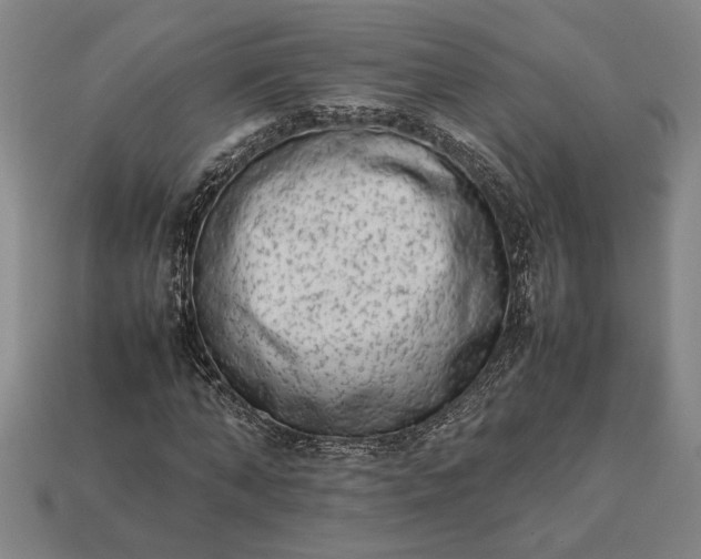 X0000113260870200909241520