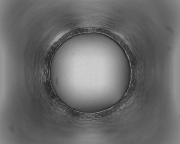 X0000113260871200909241520