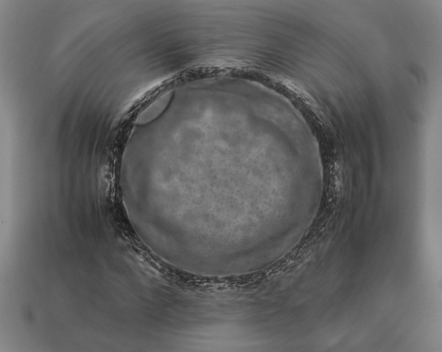 X0000113260872200909241520