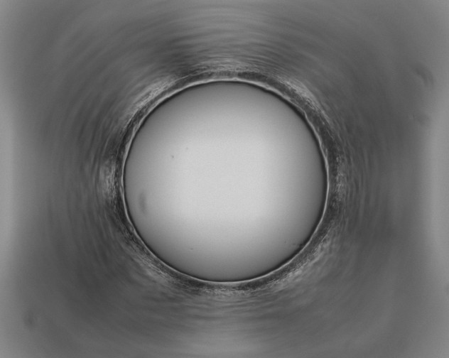 X0000113260873200909241520