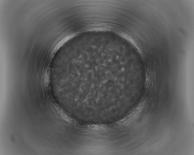 X0000113260874200909241520