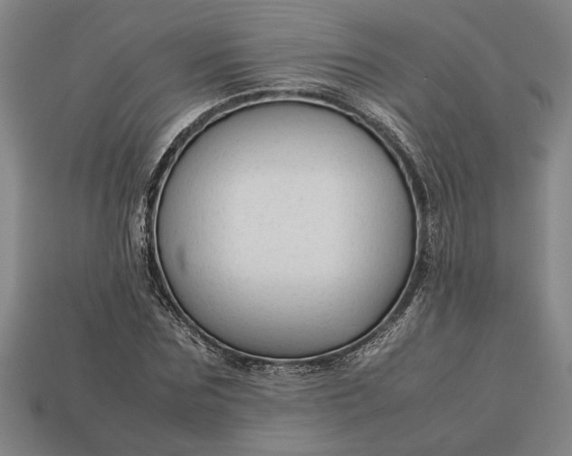 X0000113260875200909241520