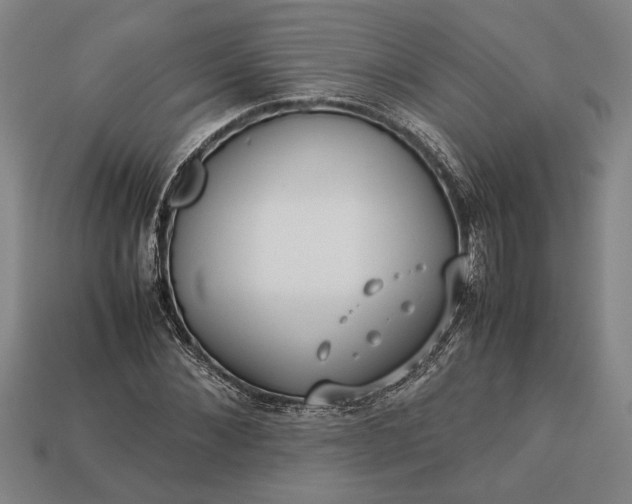 X0000113260876200909241520