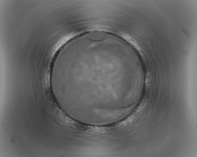 X0000113260877200909241520