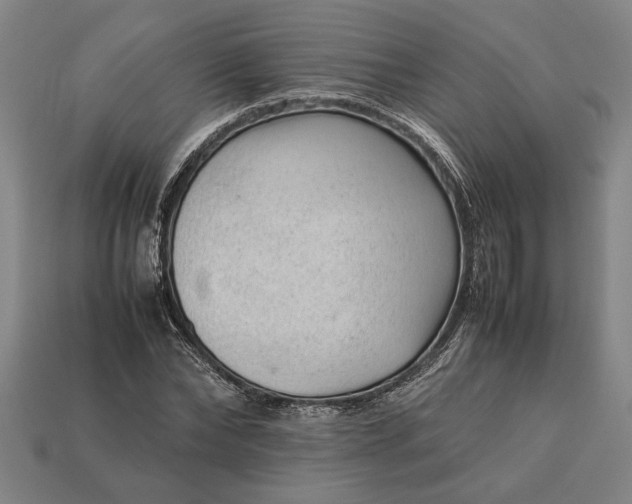 X0000113260878200909241520