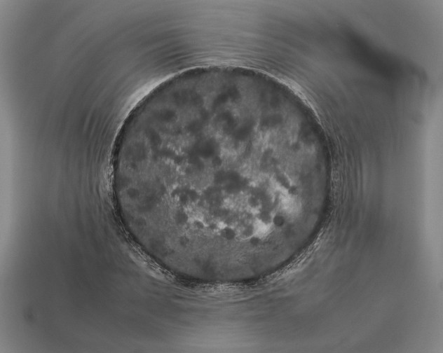 X0000113260879200909241520