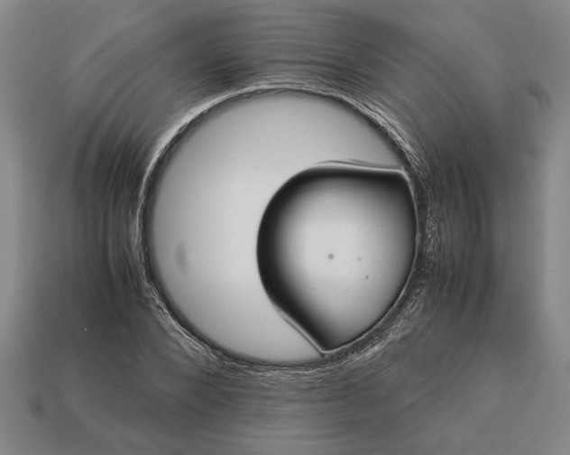 X0000113260880200909241520