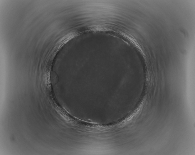 X0000113260881200909241520