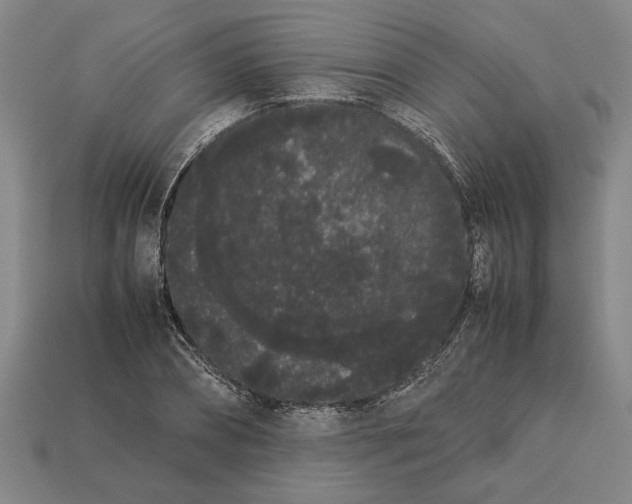 X0000113260882200909241520