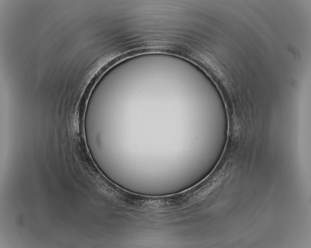 X0000113260883200909241520