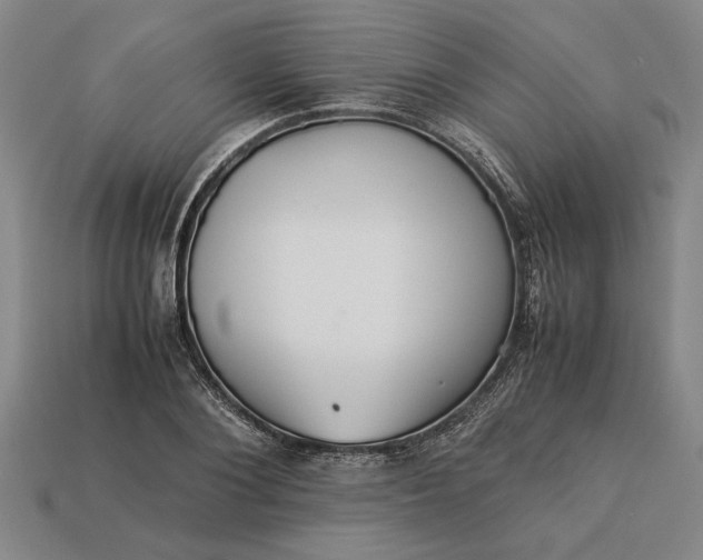 X0000113260884200909241520