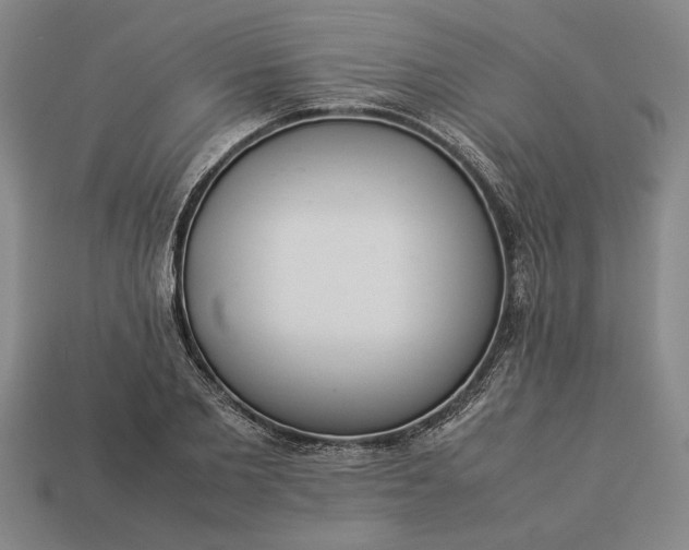 X0000113260885200909241520