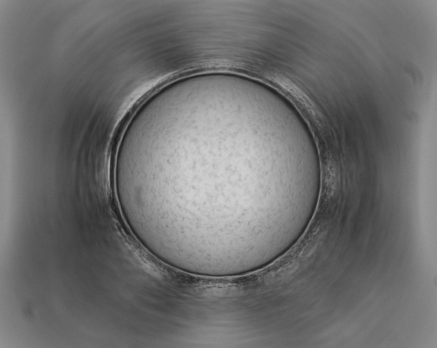 X0000113260886200909241520