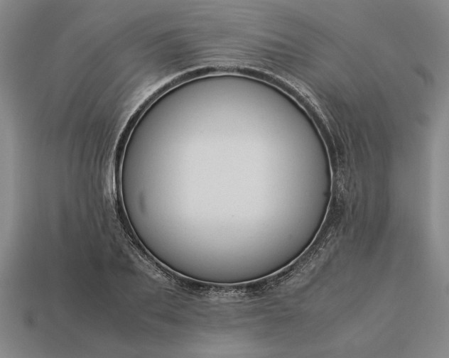 X0000113260887200909241520