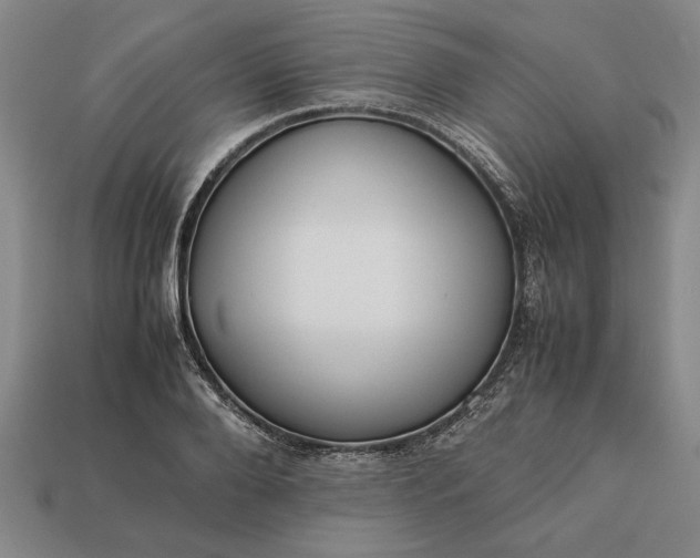 X0000113260888200909241520