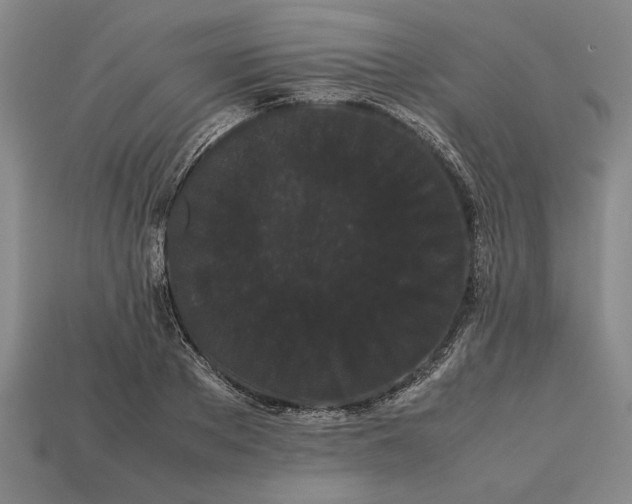 X0000113260889200909241520