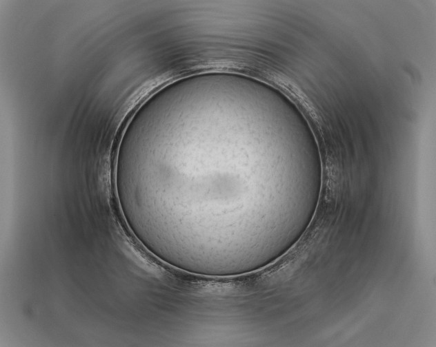 X0000113260890200909241520