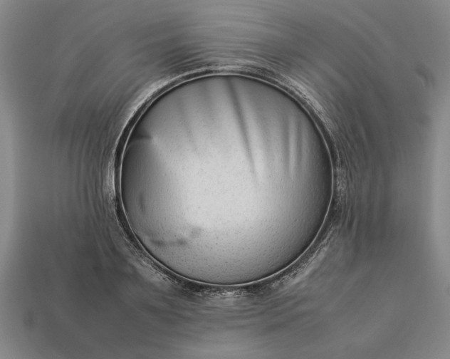 X0000113260891200909241520