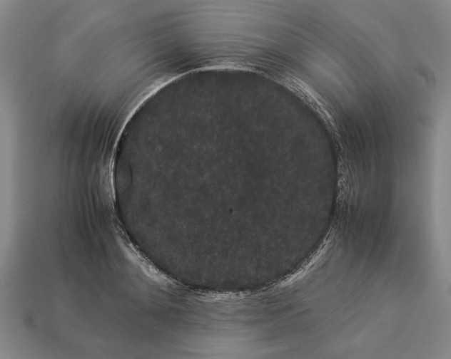 X0000113260892200909241520