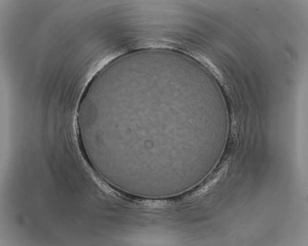 X0000113260893200909241520