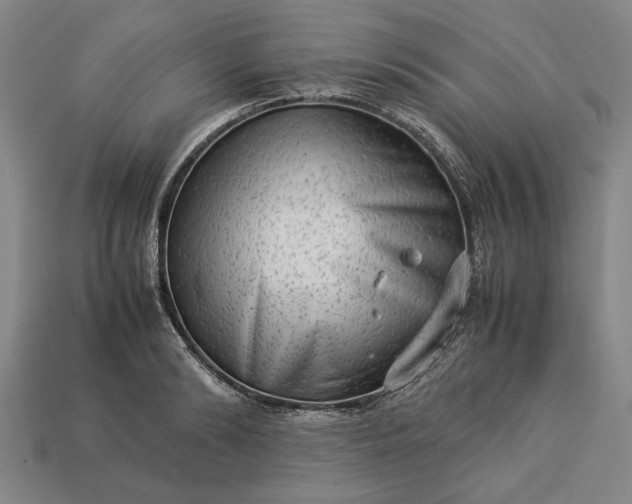 X0000113260894200909241520