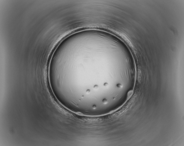 X0000113260895200909241520