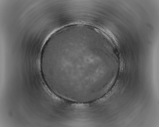 X0000113260896200909241520