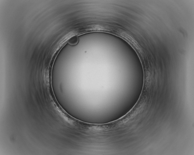 X0000113260898200909241520