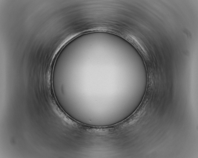 X0000113260900200909241520