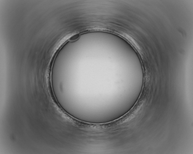 X0000113260901200909241520