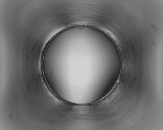 X0000113260902200909241520