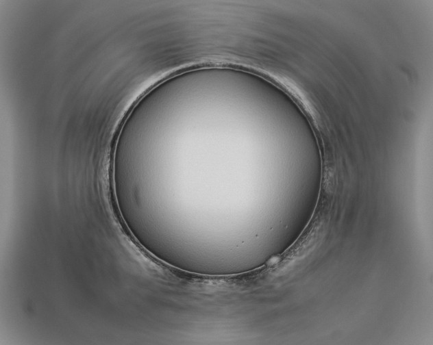 X0000113260903200909241520