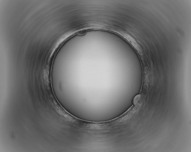 X0000113260904200909241520