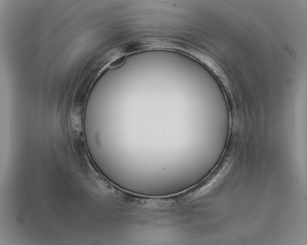 X0000113260905200909241520